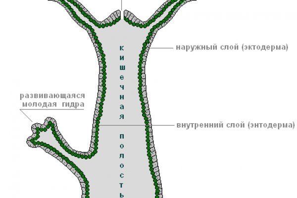 Кракен тор текст