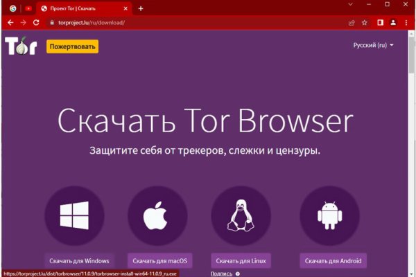Kraken гидра